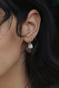 mitchell hoops