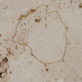 della necklace