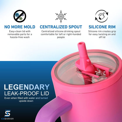 Ice Shaker Sugar Rush Series Shaker Tumblers