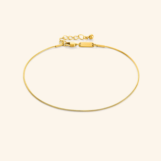 Micro Harmony Anklet