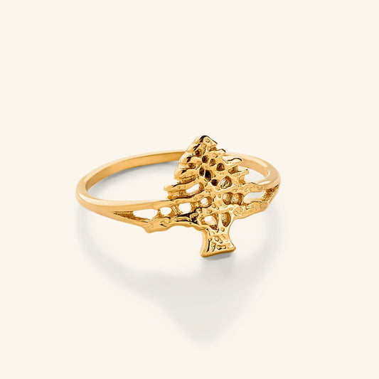 Cedar of Lebanon Ring